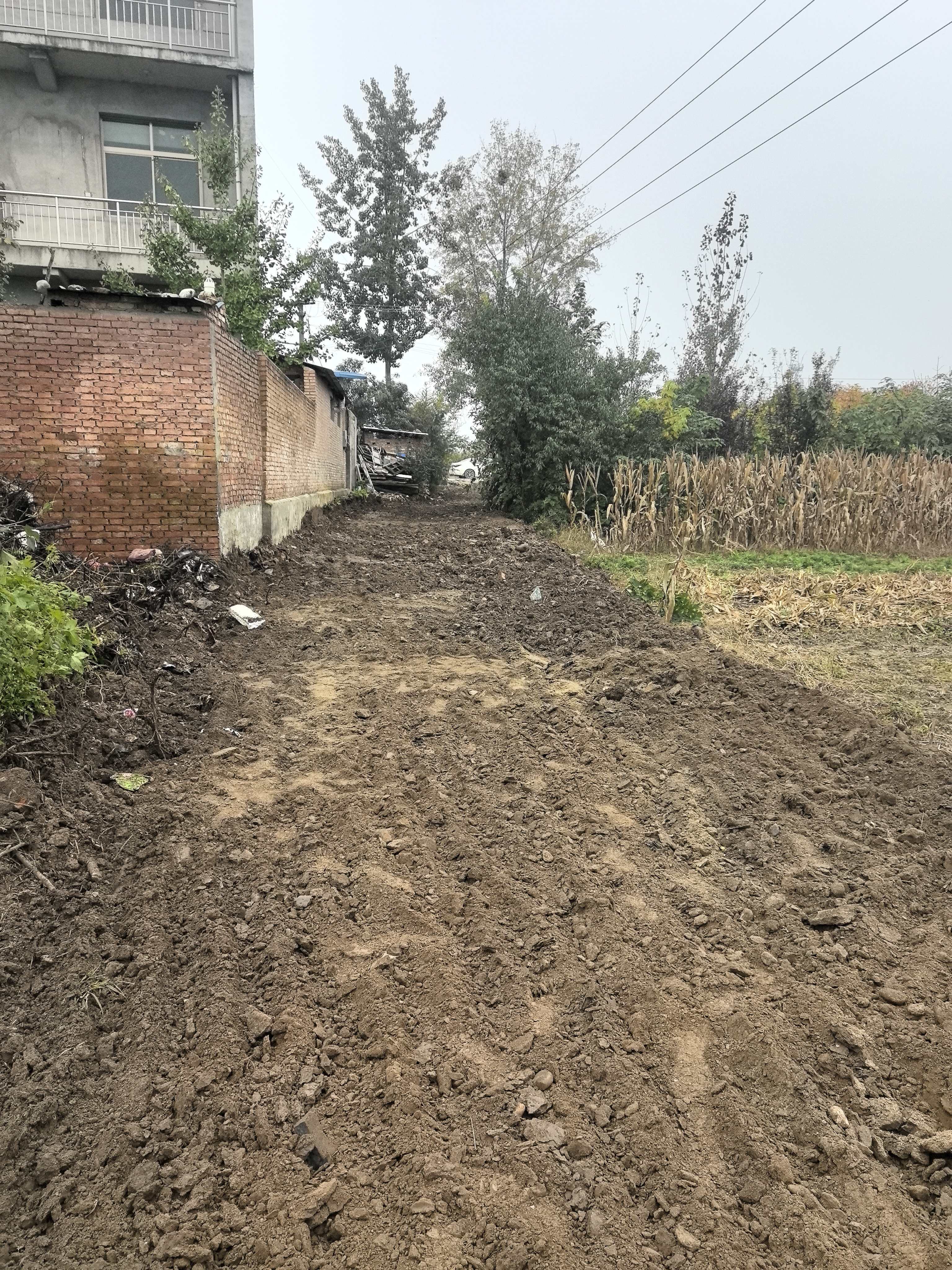 BG大游(中国)唯一官方网站